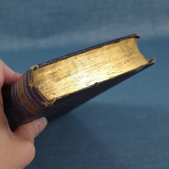 Antique "The Laurel and Lyre: Fugitive Poetry of the Nineteenth Century" 1867 - Picture 4 of 13